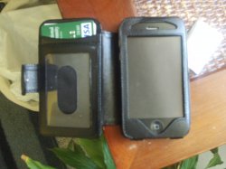 Zi6_0762.JPG
