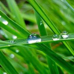drops-water.jpg