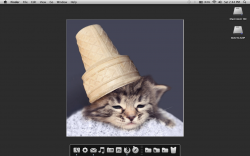 Screen shot 2010-05-01 at 2.44.34 PM.png