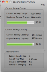 Screen shot 2010-05-04 at 1.07.14 PM.png