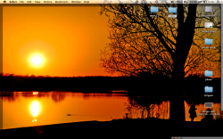 Screen shot 2010-05-06 at 10.06.20.png