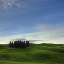 GreenGrass-iPad.jpg
