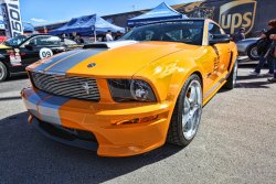 IMG_1142.JPG