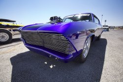 IMG_2387.jpg