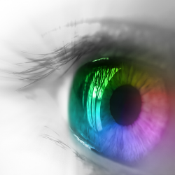 Eye-iPad.png