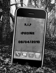 6016736_n.jpg