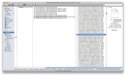Screen shot 2010-05-27 at 2.39.15 PM.JPG