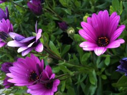 IMG_1034.jpg