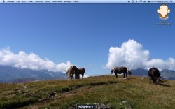 Screen shot 2010-05-31 at 20.03.15.jpg