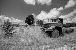DSC_4370_v2.jpg
