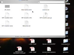 Picture 4.png