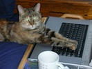 DSCN0405T.jpg