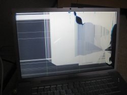screen.jpg
