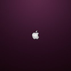 SimplePurple-iPad.jpg