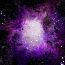 PurpleSomething.jpg