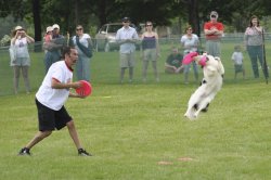 DSC_0686.jpg