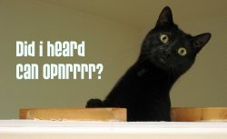 canopnrrr.jpg