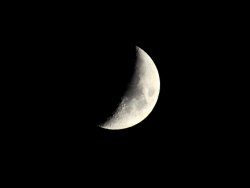 2010-06-17<untitled> 759.jpg