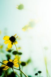 Untitled-4.jpg