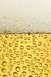 Beer-iP4.jpg