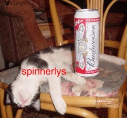 drunk_cat.jpg drunk_cat.jpg