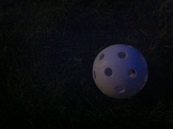 IMG_0020.JPG