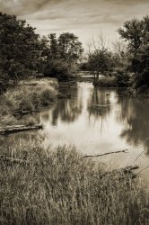 Forgotten_River_by_star_fire.jpg