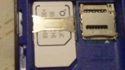 microsim.jpg