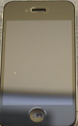 DSC04278.jpg