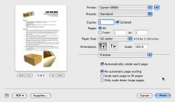 PrintOptn.jpg