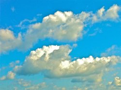 4742802197_b4c5507112_b.jpg