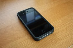 IMG_2233_resize.JPG
