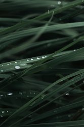 wall (48).jpg