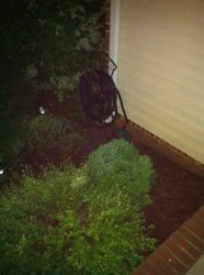 ledoutside2.JPG