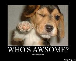 whos_awsome.preview.jpg