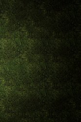 grass02-dim.jpg