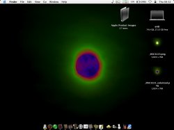 solarized.jpg