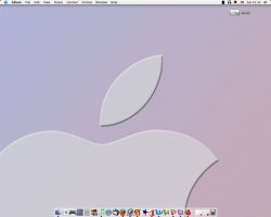 Picture-1.jpg