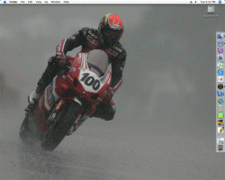 Picture-1.gif