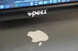 apell_s.jpg