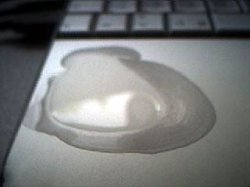egg123.jpg
