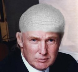 Trump-bald.jpg