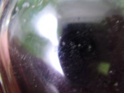 P7100061.JPG
