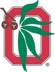 OSUAA_Logo_4_Color_Block_O.139180755.jpg