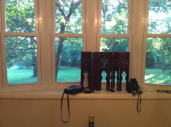 IMG_0315_2.jpg