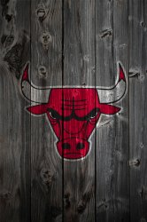 bulls_wood.jpg