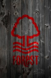 forest_alt_wood.jpg