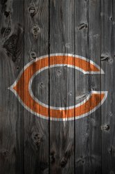 bears_wood5.jpg