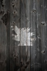 iP4_wood_godzilla.jpg