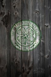 iP4_wood_celtic.jpg